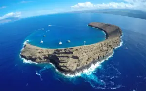 Aerial view of Molokini Crater off the coast of Maui, Hawaii, showing the iconic crescent-shaped islet surrounded by deep blue ocean and anchored snorkeling boats near the crystal-clear lagoon.
