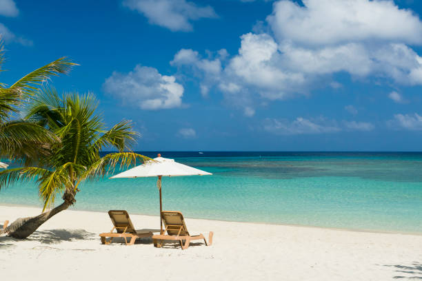 A serene setup with two lounge chairs and an umbrella nestled under a palm tree on white sand—ideal for envisioning a peaceful Hawaiian beach day.